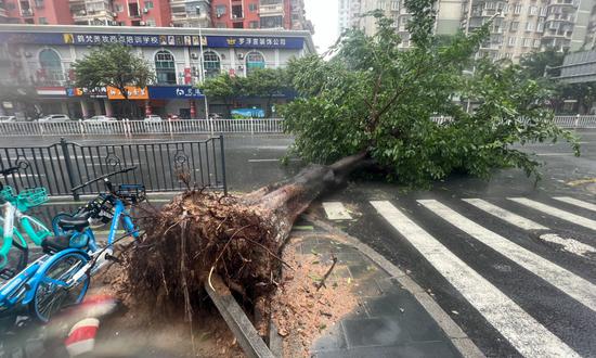 Doksuri makes landfall in Fujian