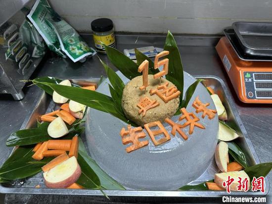 Photo shows the birthday cake prepared by staff members of Shennongjia Nature Reserve for giant panda Ao Yun, Aug. 8, 2023. (Photo/China News Service)
