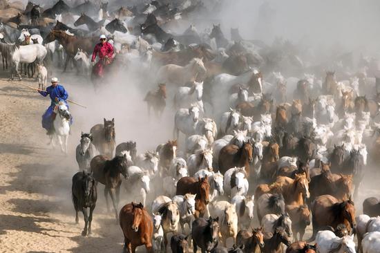 Inner Mongolia celebrates Nadam fair