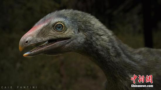 Fossil featuring sharp claws, a nasty beak discovered