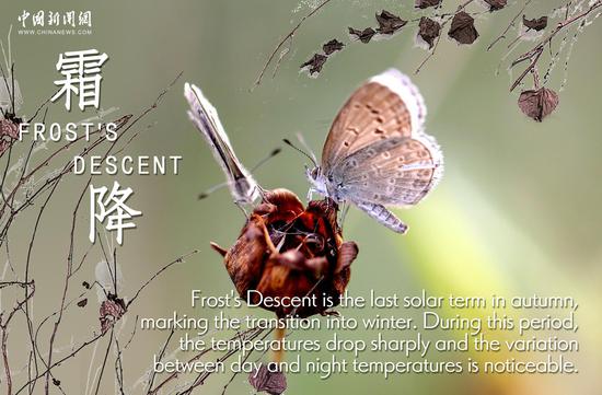 Culture Fact | Solar term: Frost's Descent
