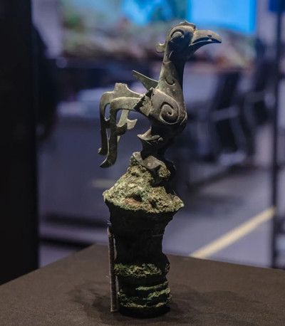 A bronze bird showcased in Sanxingdui Museum (Photo/Wechat account of Sanxingdui Museum)