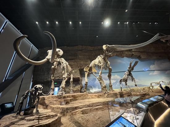 Asia's largest natural history museum opens to public