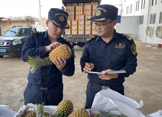First-ever pineapple shipment from Xuwen county reaches DPRK