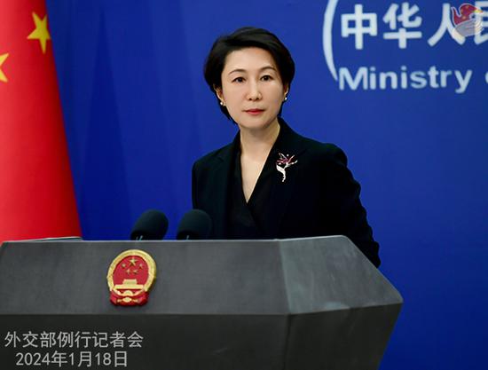 China's economic growth provides driving force for global economy: FM spokesperson 