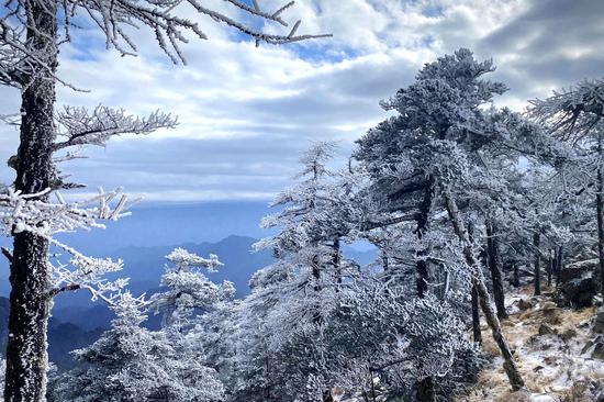 下雪后朱雀国家森林公园的白色仙境