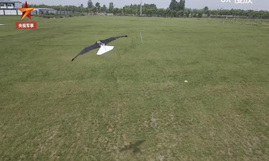 China develops bird-like ornithopter with huge application potential