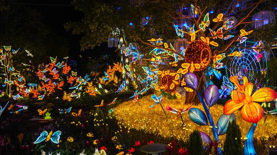 'Mysterious world' illuminated in Guangxi