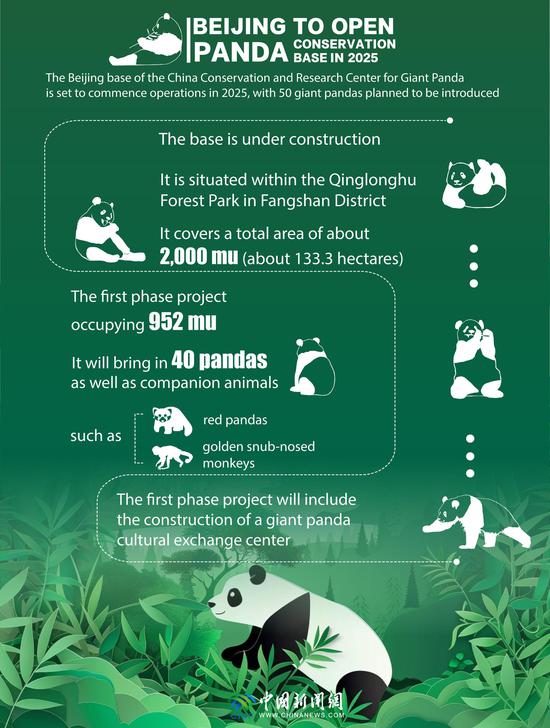 In Numbers: Beijing to open panda conservation base in 2025