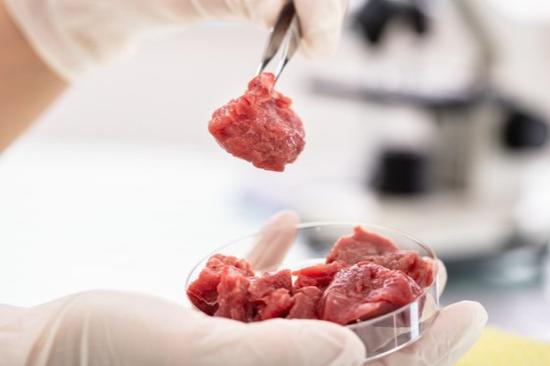 Lab-grown meats show promise but scientific challenges remain