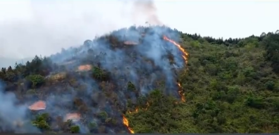 A forest fire breaks out at around 3:30 p.m. on Monday in Maxiang Village of Changshun County, southwest China's Guizhou Province (Photo/ Video screenshot)