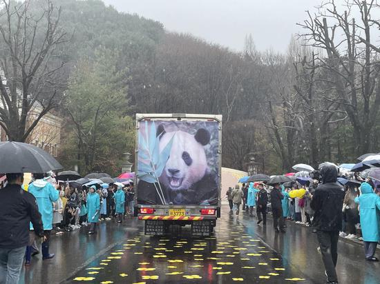 第一只出生于韩国的大熊猫前往中国
