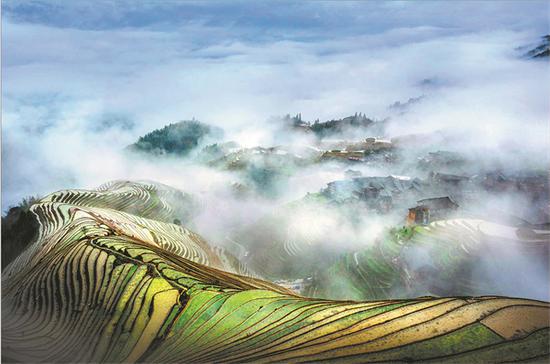 The picturesque terraced farmlands in clouds in Dazhai village, Longsheng county, Guangxi Zhuang autonomous region. (Photo provided by Wang Chenlin/For China Daily)