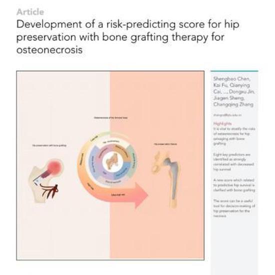 Chinese experts fill gap in risk-predicting for hip preservation with bone grafting 