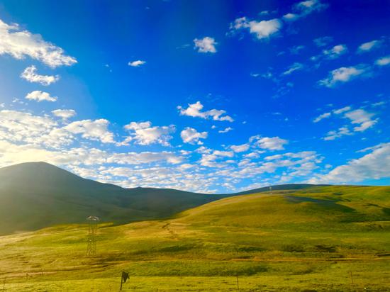 China in Diplomat's Eyes: Spring scenery in NW China's Qinghai