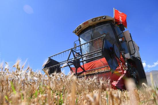 China emphasizes importance of collaboration in barley resources
