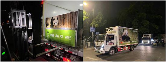 Giant pandas Jin Xi and Zhu Yu depart for Spain, April 29, 2024. (Photo provided to chinadaily.com.cn)