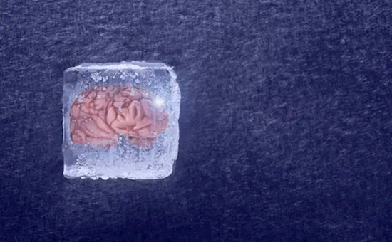 Chinese researchers successfully revive human brain frozen for 18 months