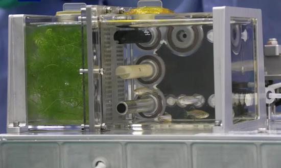 The first-ever fish tank ecosystem experiment at the China Space Station (Photo/CCTV)