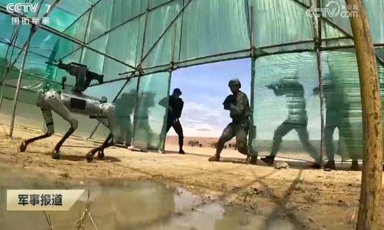 A robot dog equipped with a QBZ-95 rifle spearheads an assault into a building during the China-Cambodia Golden Dragon-2024 joint exercise in May 2024. (Photo/Screenshot from China Central Television)