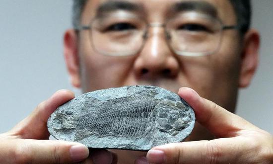 Chinese scientists discover new 249 million year-old fish genus