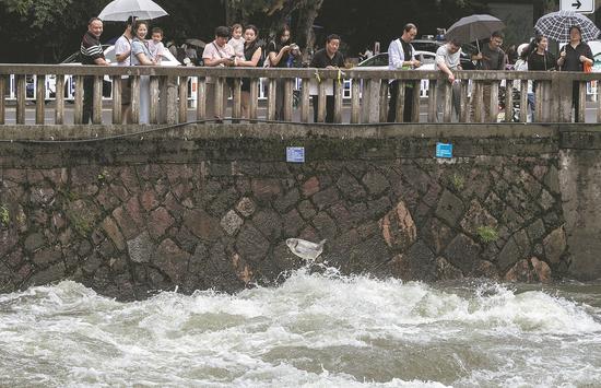 Hangzhou prepares to battle flooding disasters