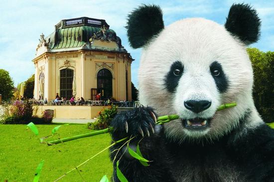 Austria prepares to care for giant pandas from China