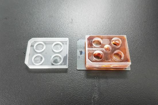 Organs-on-chips help test drugs