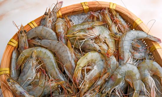 Honduras exports 1st batch of shrimp to China as FTA talks continue