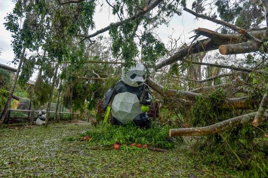 Hainan recovering from devastation of super Typhoon Yagi