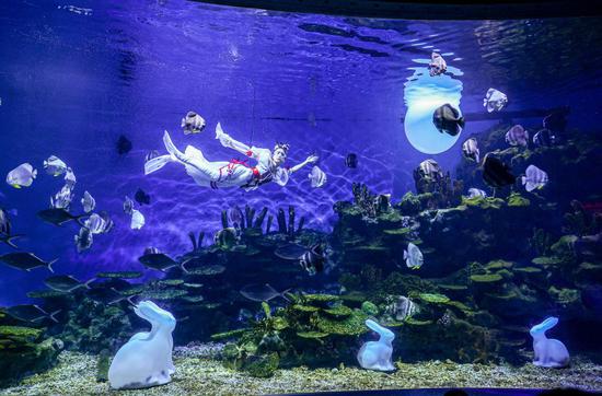 Underwater performance staged to celebrate Mid-Autumn Festival