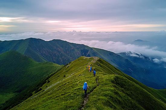 Demand for mountain hiking companions peaks