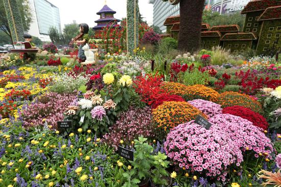 Special floral displays adorn Beijing for upcoming National Day