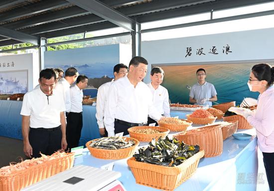 Xi inspects Zhangzhou in east China's Fujian