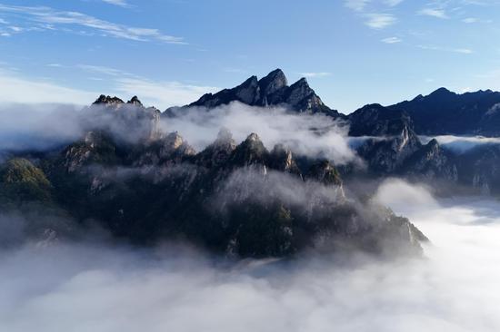 Sea of clouds over Laojieling Scenic Area in C China's Henan