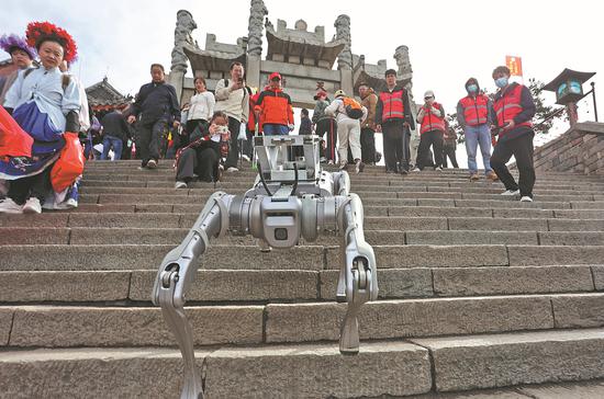 Robotic dogs take out trash on Taishan Mountain