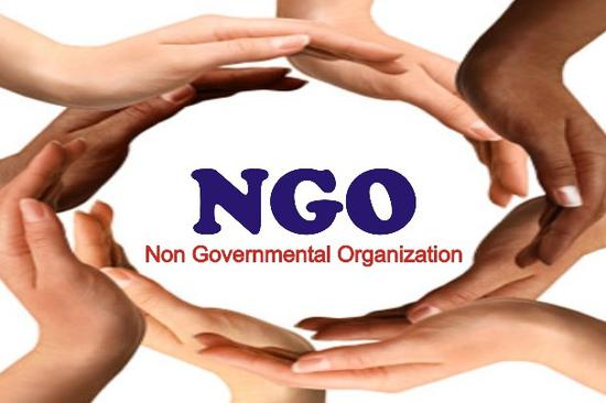 Chinese NGOs aim to make bigger int'l impact