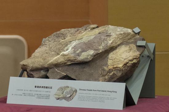 Dinosaur fossils discovered in Hong Kong for first time