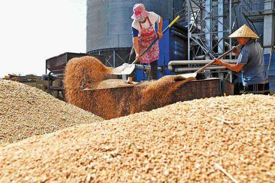 Shandong uses high-tech to boost green grain storage