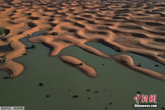 Sahara desert flooded due to heavy rain