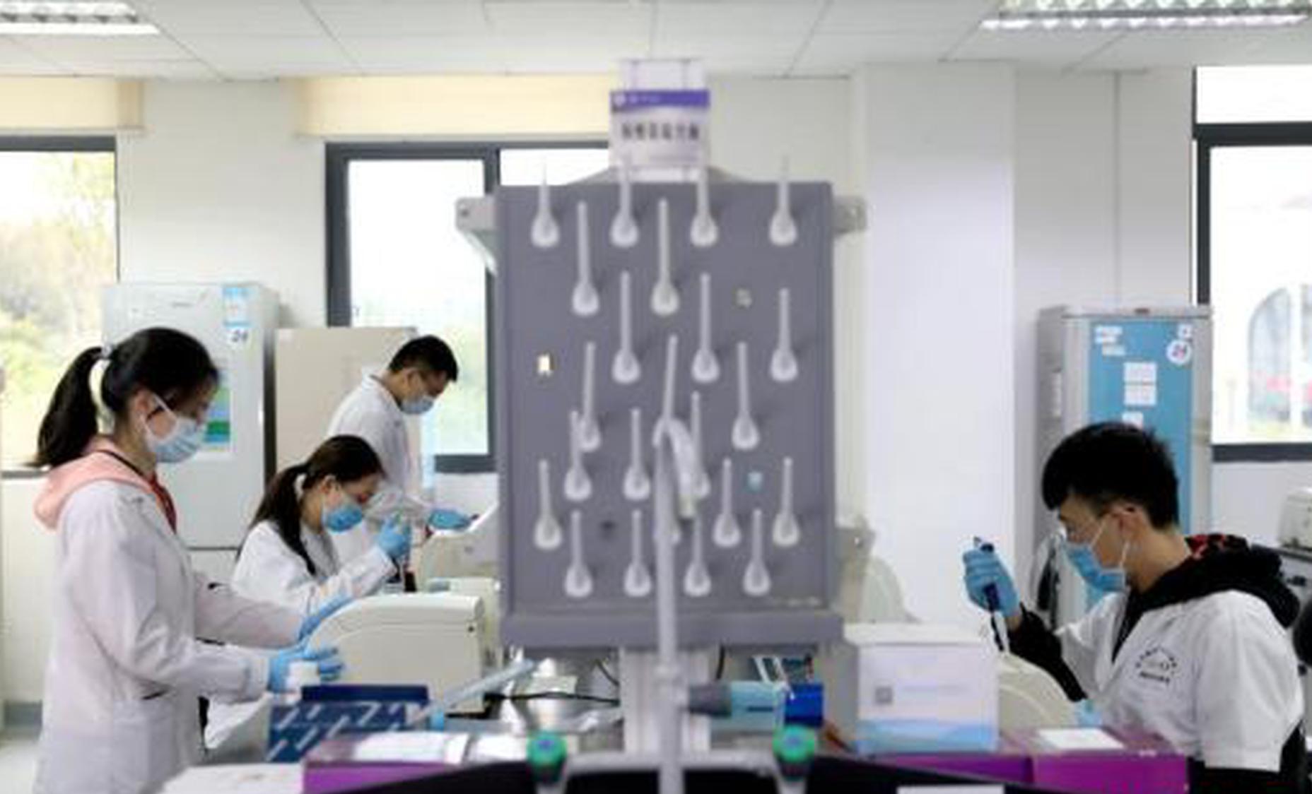 China's leading science institution launches international program on synthetic cells