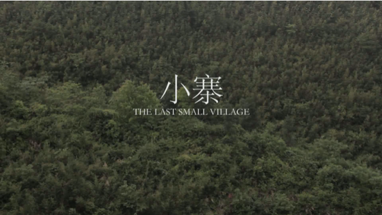 The Last Small Village