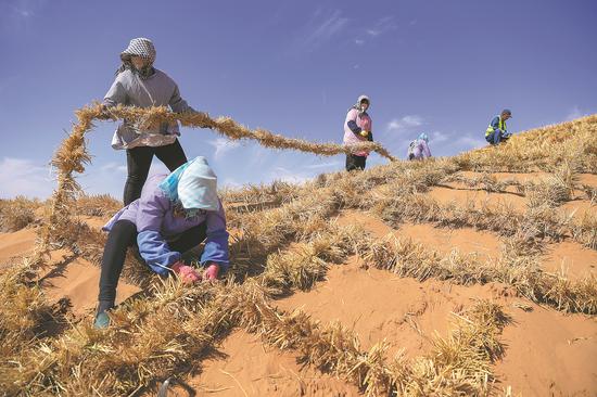 China leads in combating desertification