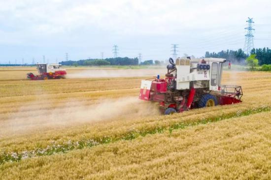 Saline solutions transform barren land into fertile fields