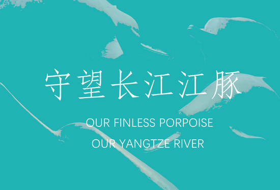 The Yangtze Finless Porpoise