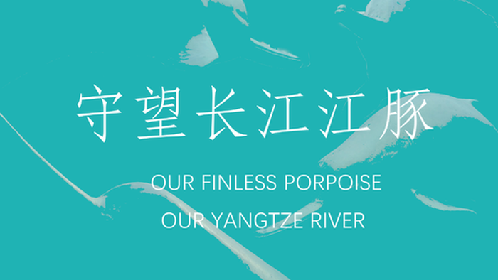 The Yangtze Finless Porpoise