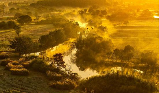 Breathtaking sunlight envelops Liangzhu ruins