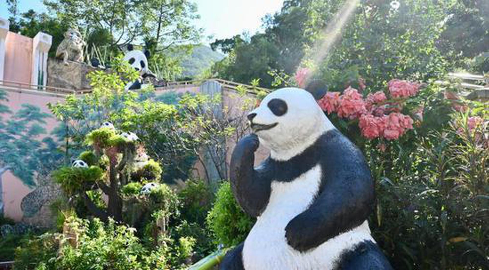 Gifted giant pandas An An and Ke Ke to Hong Kong to meet public on Dec. 8