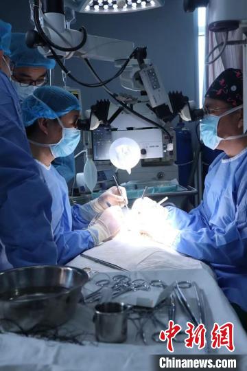 An organ transplantation research team from Wuhan's Tongji Hospital conducts xenotransplantation experiments. (Photo/China News Service)