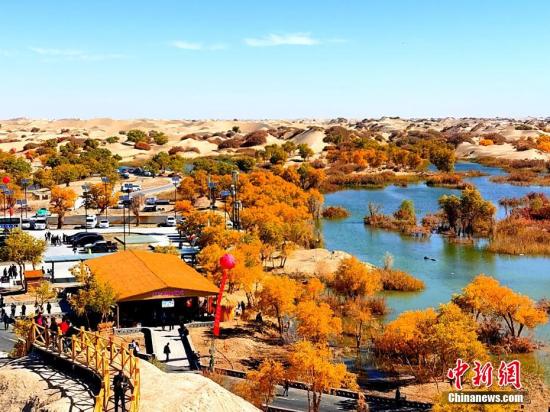 Photo shows the populus euphratica forest in Taklimakan desert. (Photo: China News Service/Wang Xiaojun)